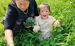 千百最新的网址多少